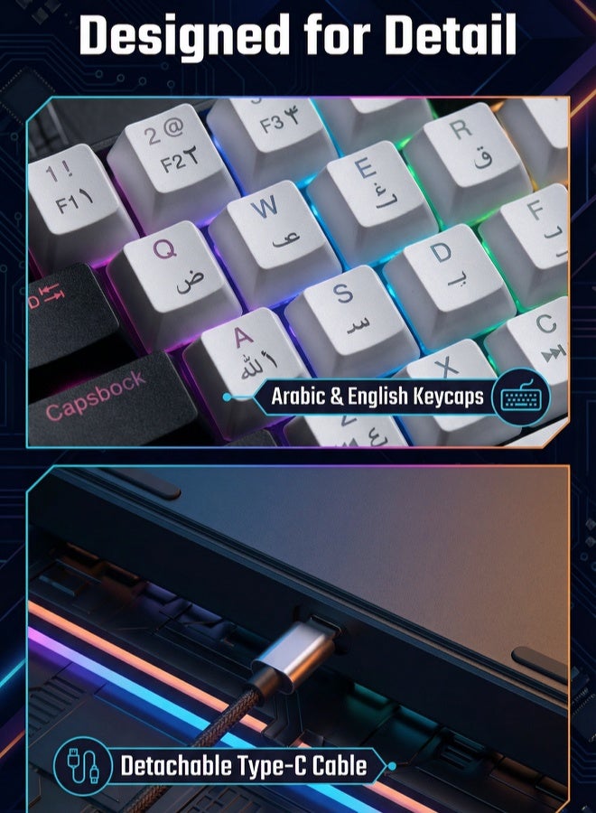AOR Esports Keyboard, gaming keyboard, red axis, Arabic keycap, Arabic keyboard, 12 RGB scrolling lighting effect, Type-C interface, 61 compact key design, wired keyboard, white keyboard - Image 3
